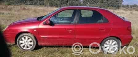 Xsara Xsara, Xsara Picasso