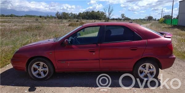 Xsara Xsara, Xsara Picasso