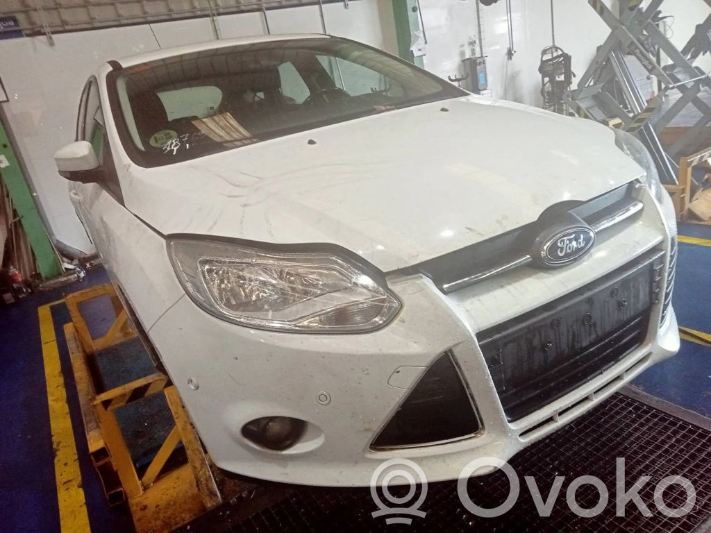 Focus Focus  1744017