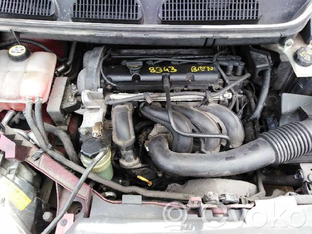 Focus Focus  3M519F836AE