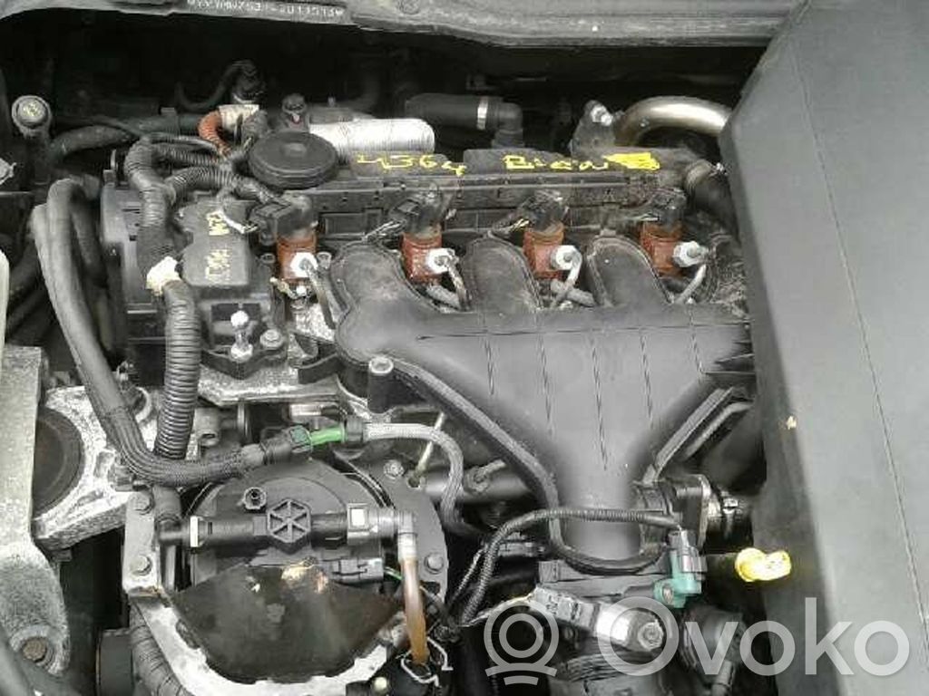V50 V50  031198203