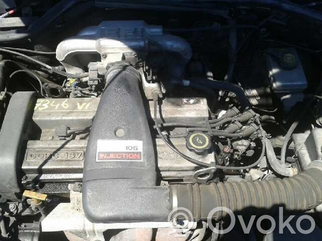 Escort Escort