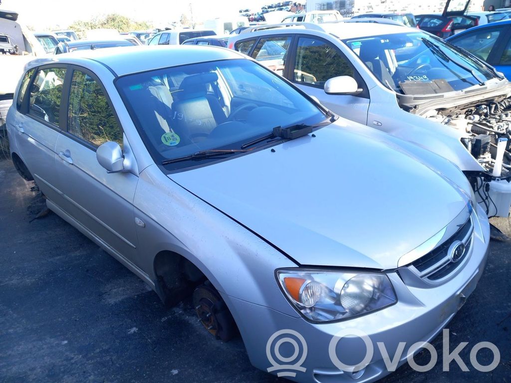 Cerato Cerato  935702F200