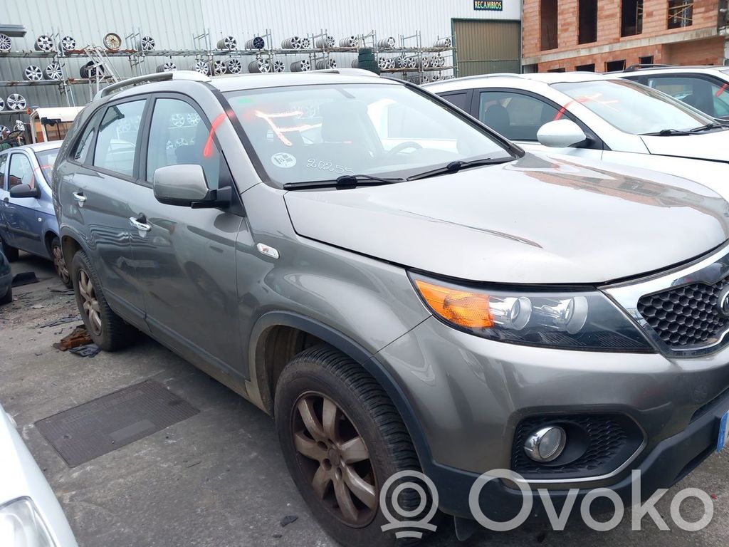 Sorento Sorento  924062P02
