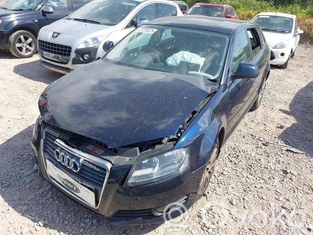 A3 S3 A3 Sportback 8P A3, S3  8R0419091S