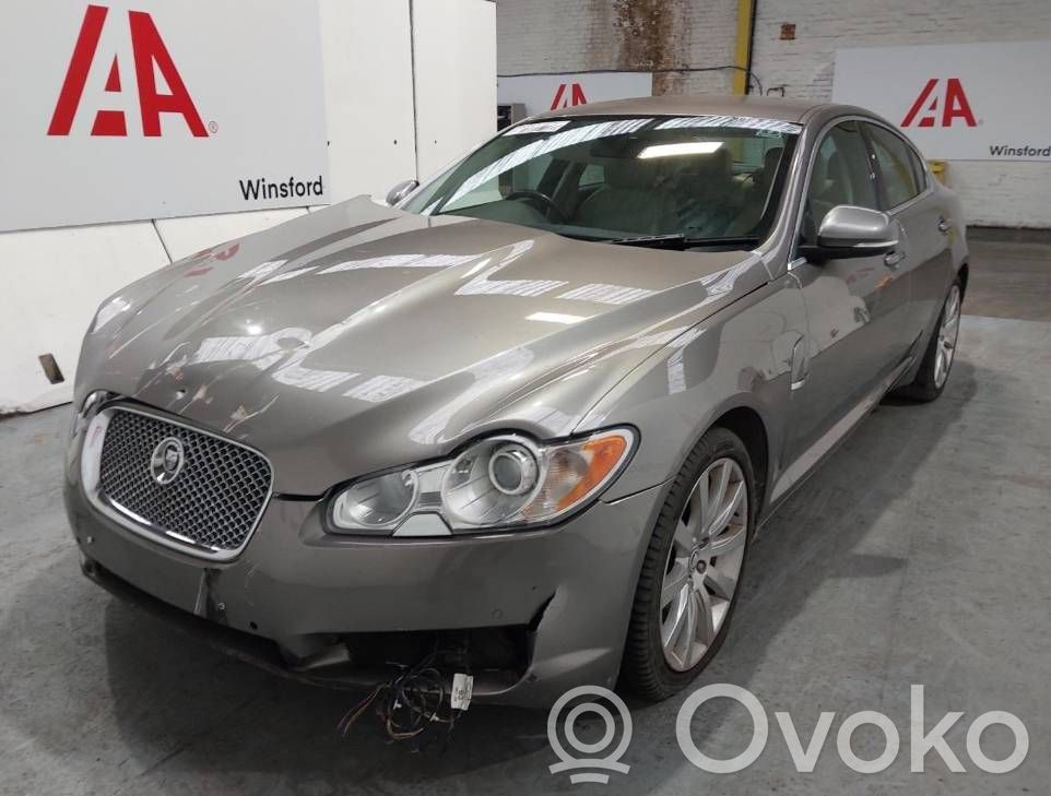 XF X250 XF  C2P19342