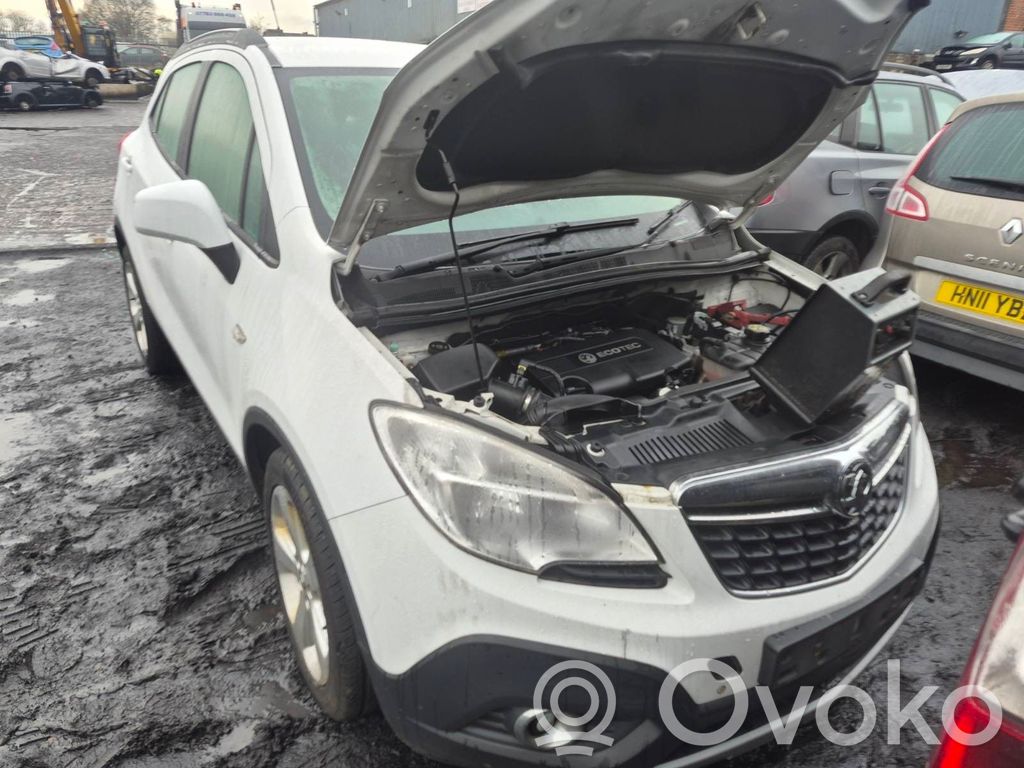 Mokka Mokka  13354532