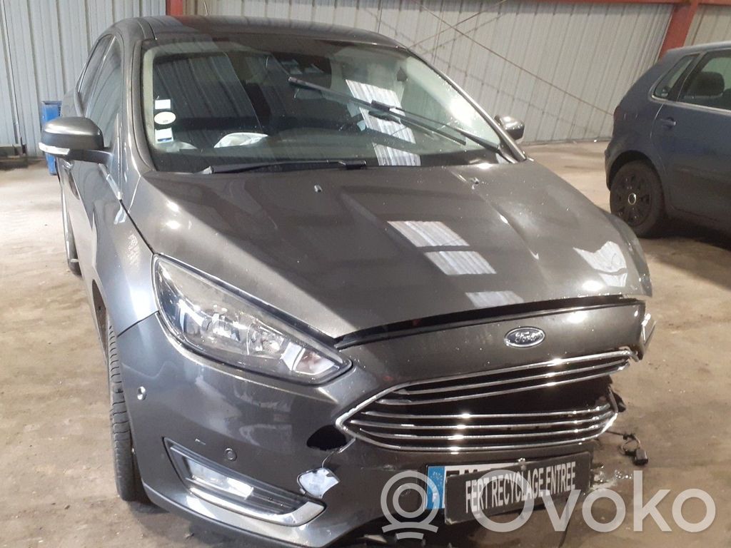 Focus Focus  2038694