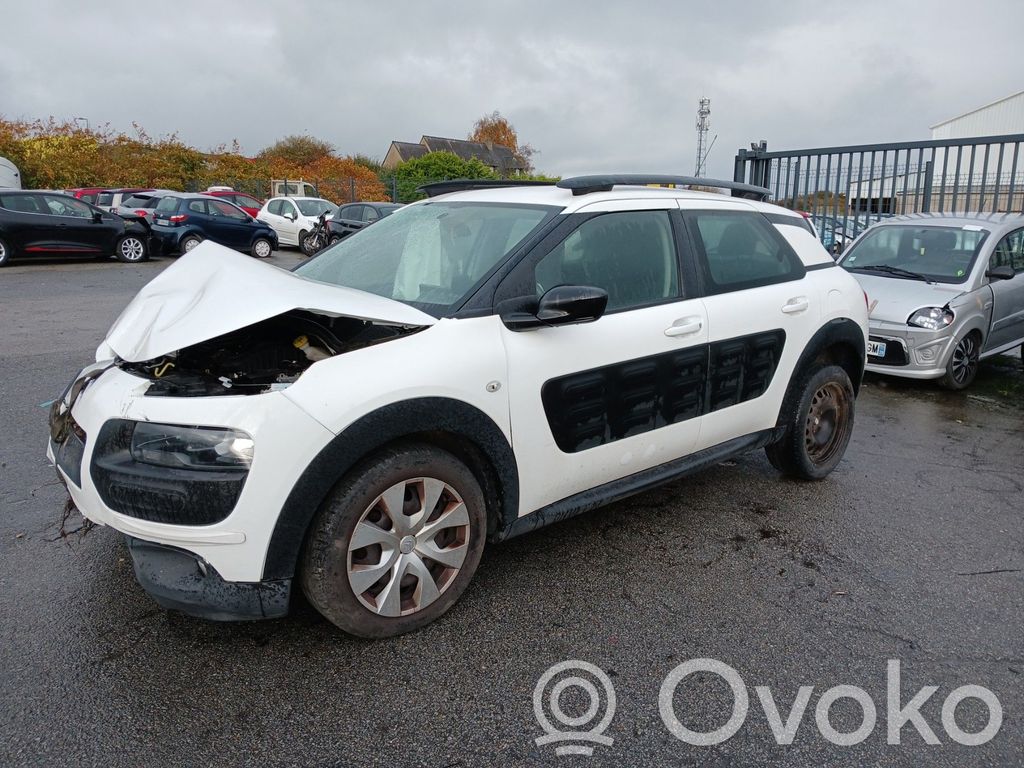 C4 Cactus C4 Picasso, Grand Picasso, Aircross, Cactus  9801219180