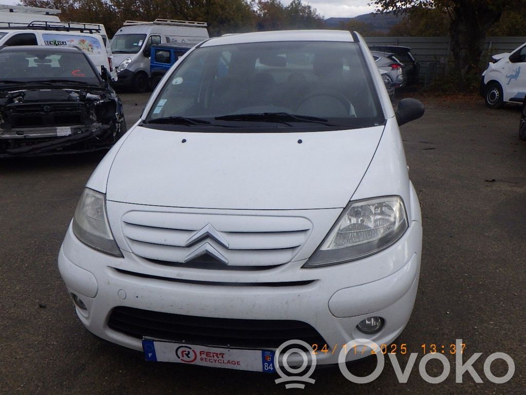 C3 C3, Pluriel, Picasso  00006236L3