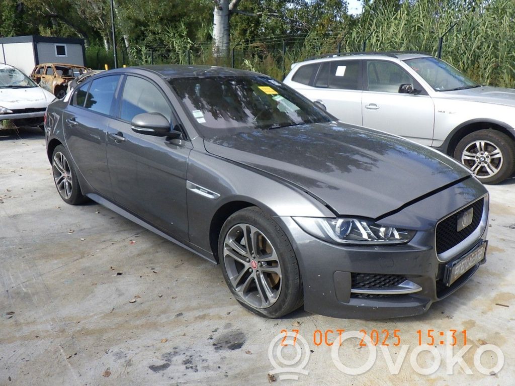 XE XE  T4N31485