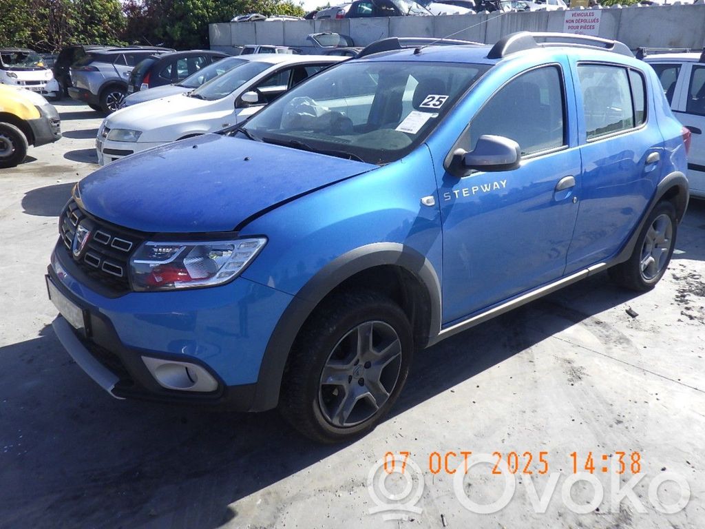Sandero Sandero, Sandero Stepway  8201729852