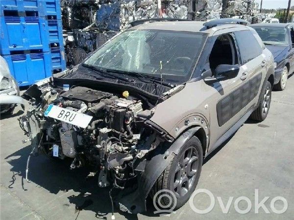 C4 Cactus C4 Picasso, Grand Picasso, Aircross, Cactus  BH02