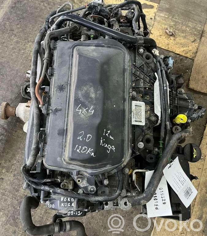 Kuga II Kuga  AV4Q