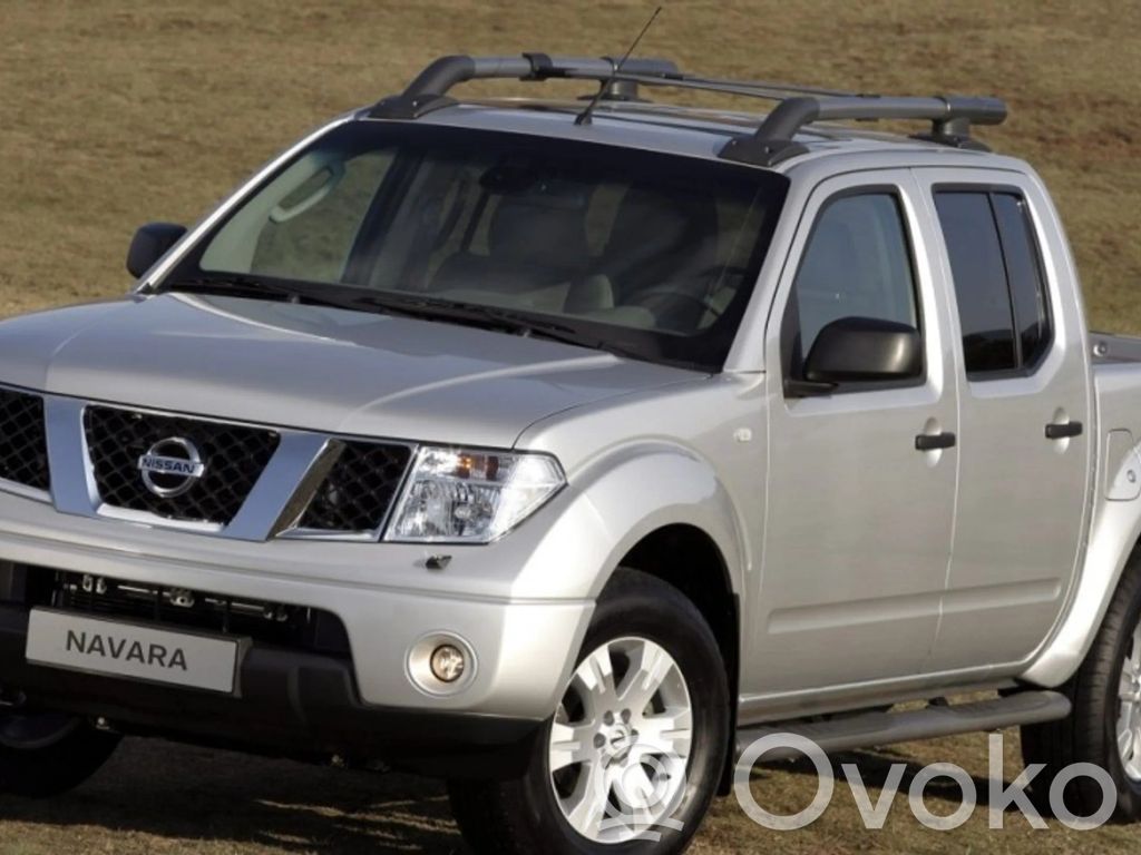 Navara D40 Navara  251905X00A