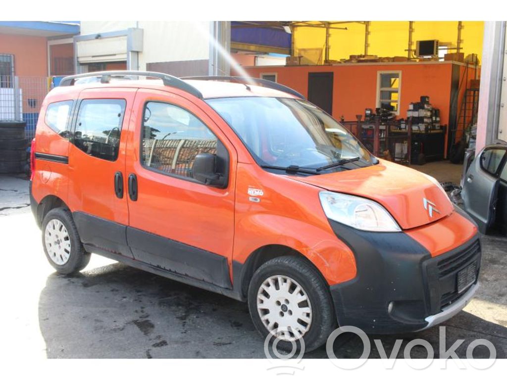 Nemo Nemo  1636123880