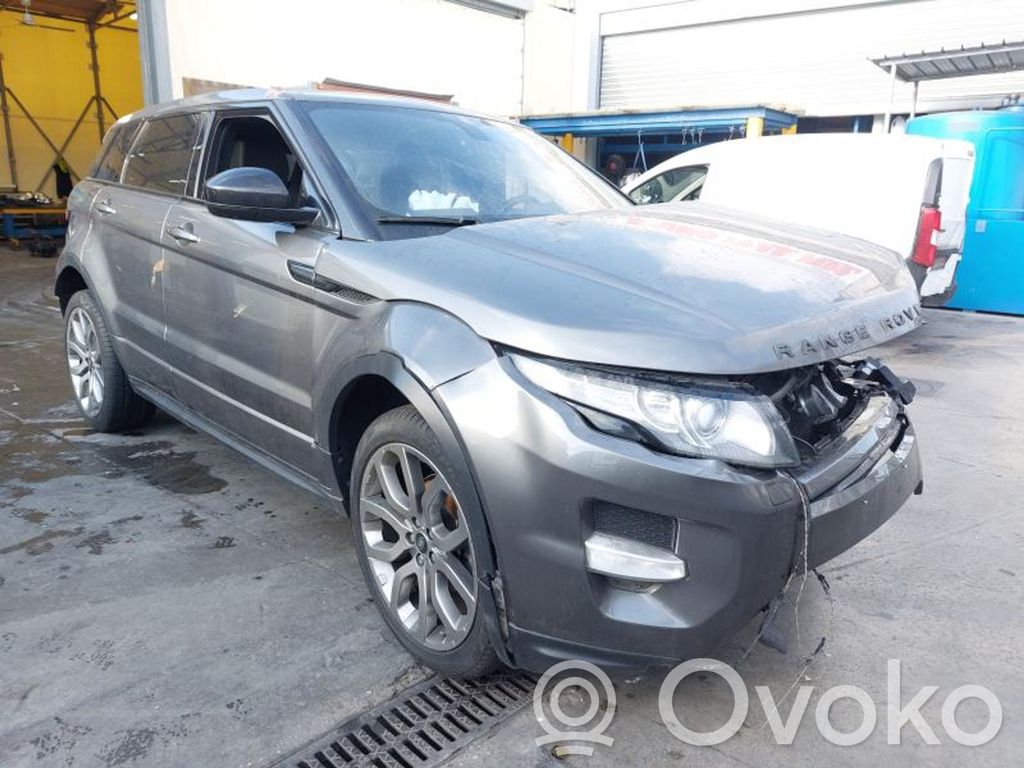 Range Rover Evoque L538 Range Rover  EJ326P096AA