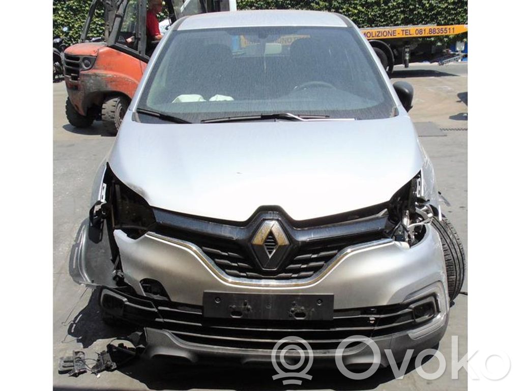 Captur Captur  233006508RA