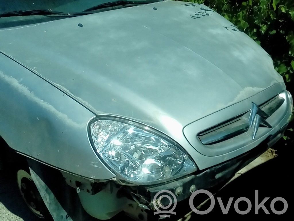 Xsara Xsara, Xsara Picasso