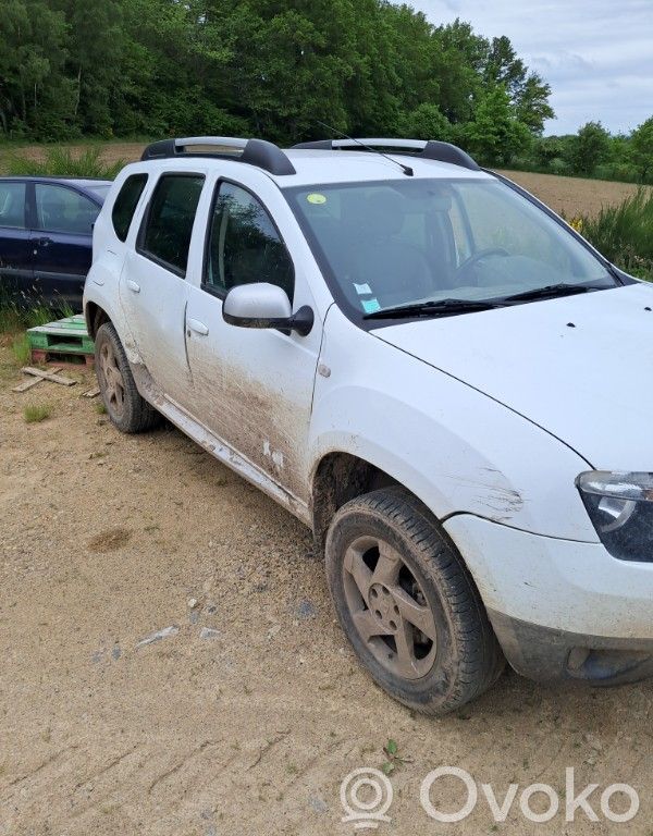 Duster Duster  484302824R