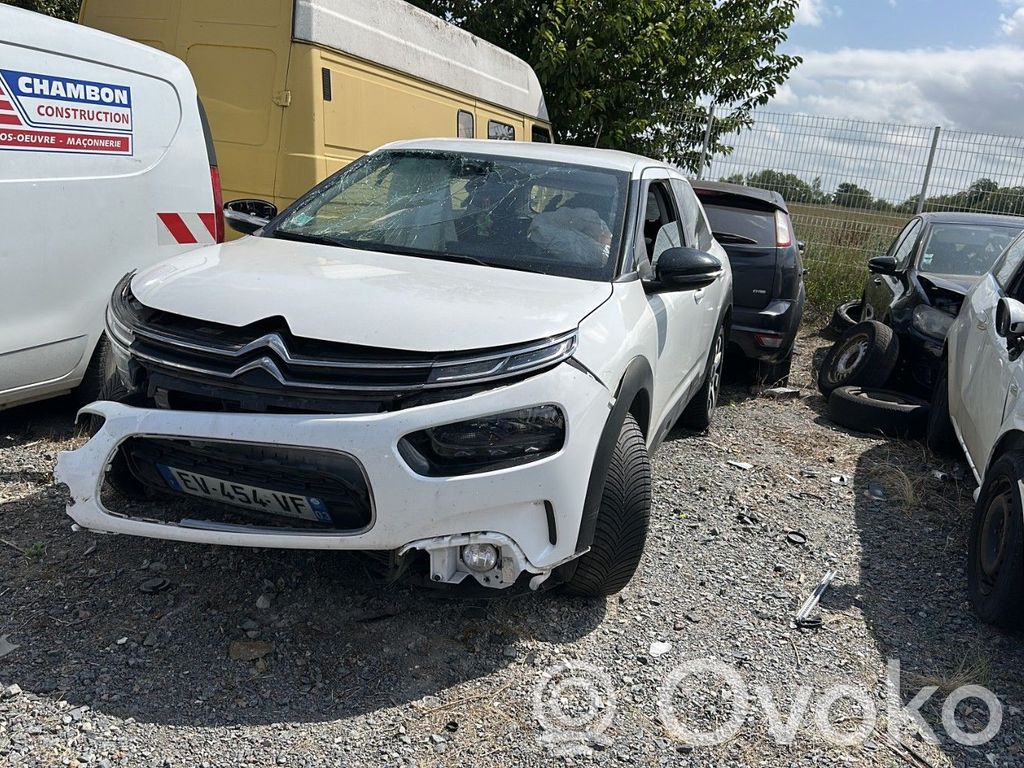 C4 Cactus C4 Picasso, Grand Picasso, Aircross, Cactus  9821349780