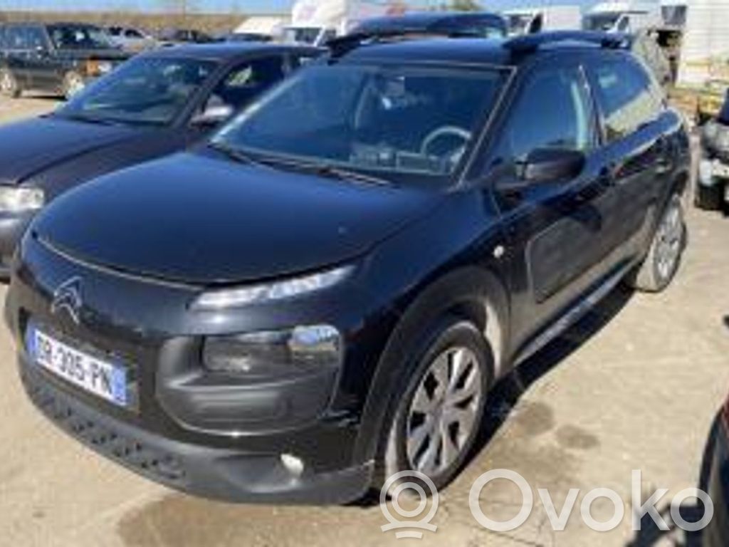 C4 Cactus C4 Picasso, Grand Picasso, Aircross, Cactus  1619251280