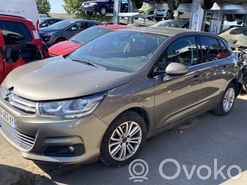 C4 II C4 Picasso, Grand Picasso, Aircross, Cactus  00009008X2