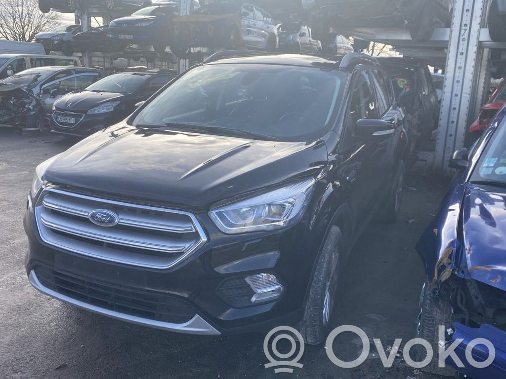 Kuga II Kuga  1787264