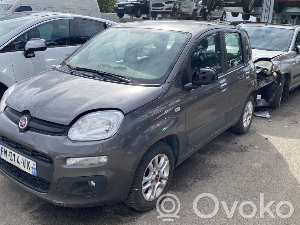 Panda III Panda  52219338