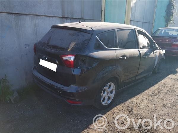 Focus Focus  1875277