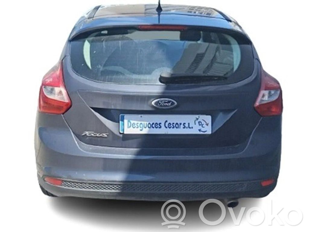 Focus Focus  921755101