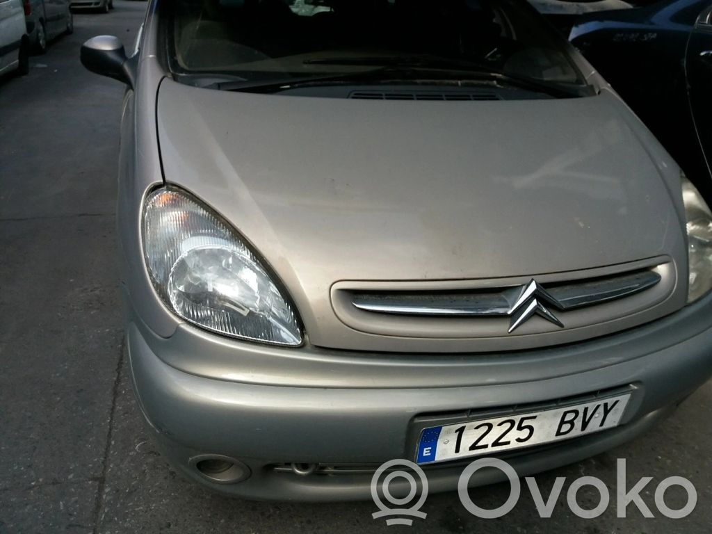 Xsara Xsara, Xsara Picasso  1938J6