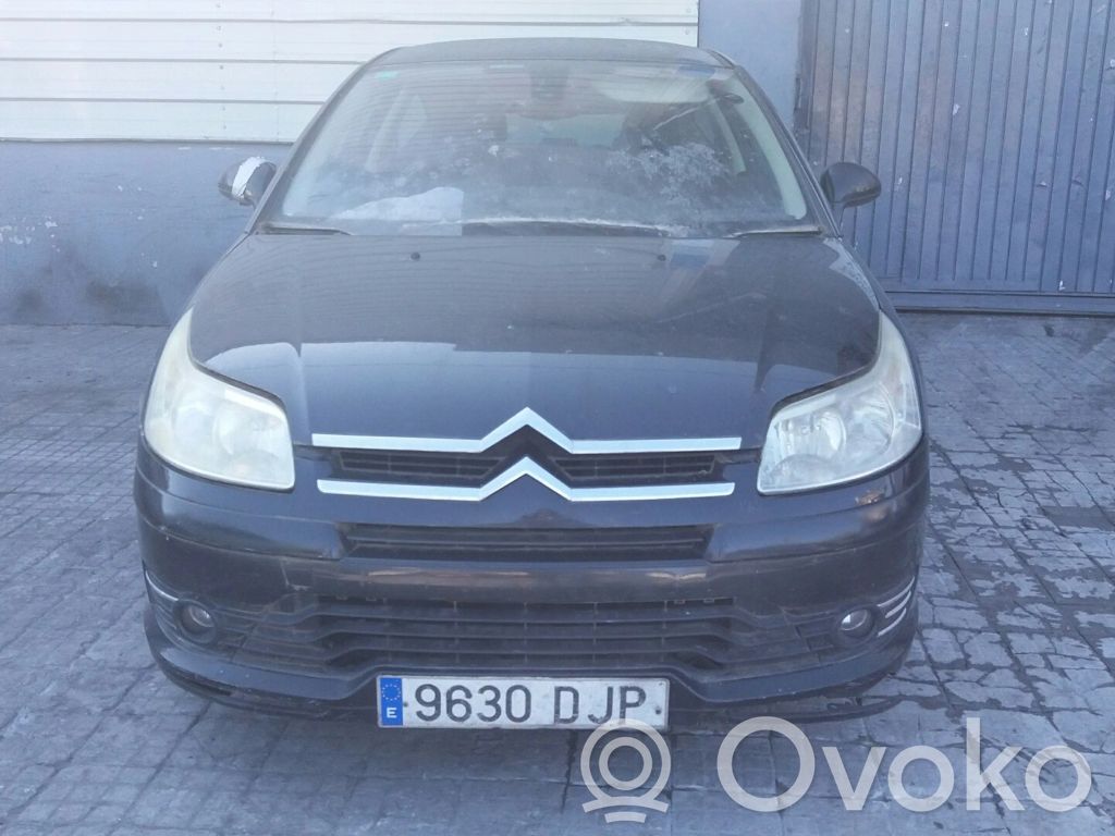 C4 I C4 Picasso, Grand Picasso, Aircross, Cactus  9650695477