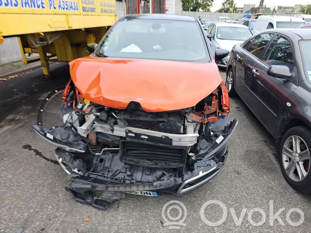 Captur Captur  391006849R