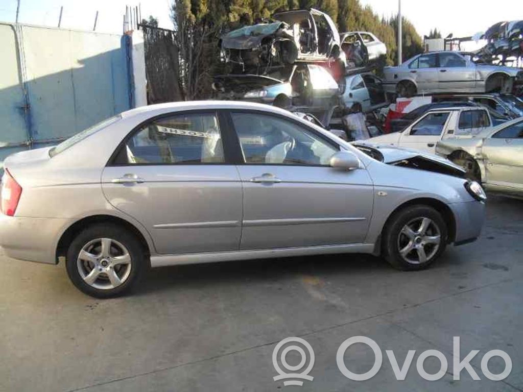 Cerato Cerato
