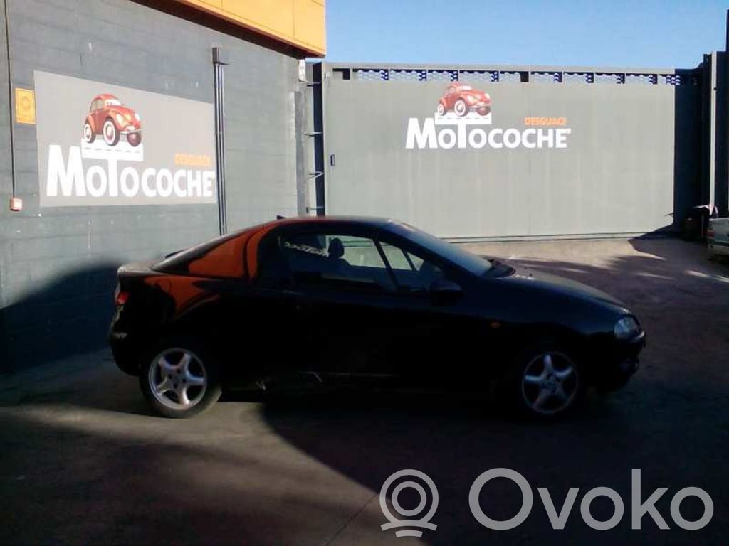 Tigra A Tigra  1222038
