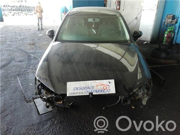 Exeo (3R) Exeo
