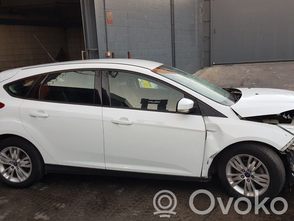 Focus Focus  A1078400