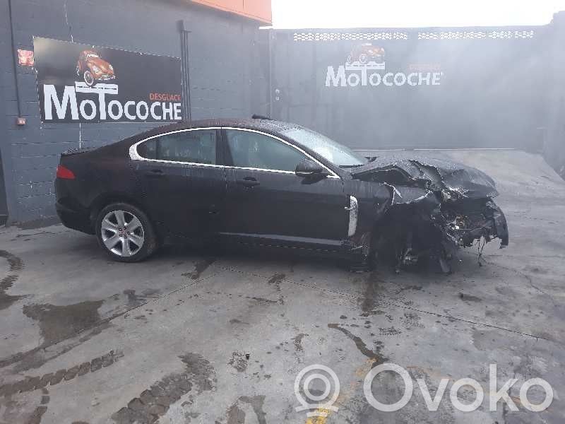 XF X250 XF  REF