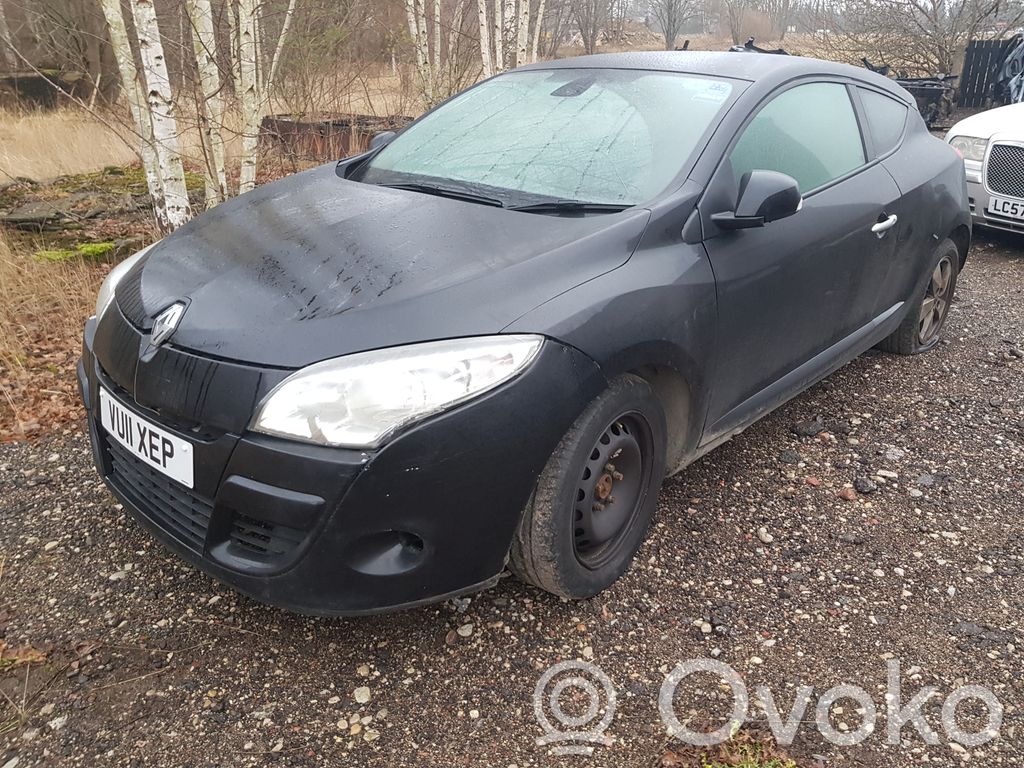 Megane III Megane  255520014RC