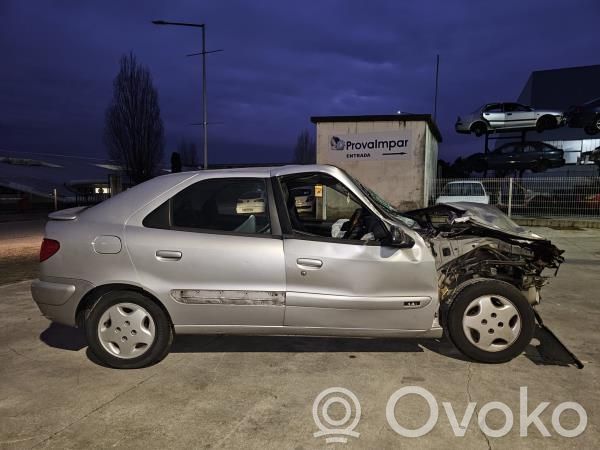 Xsara Xsara, Xsara Picasso