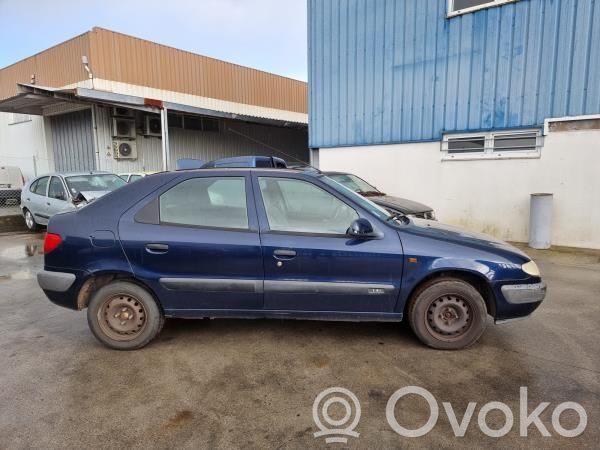 Xsara Xsara, Xsara Picasso