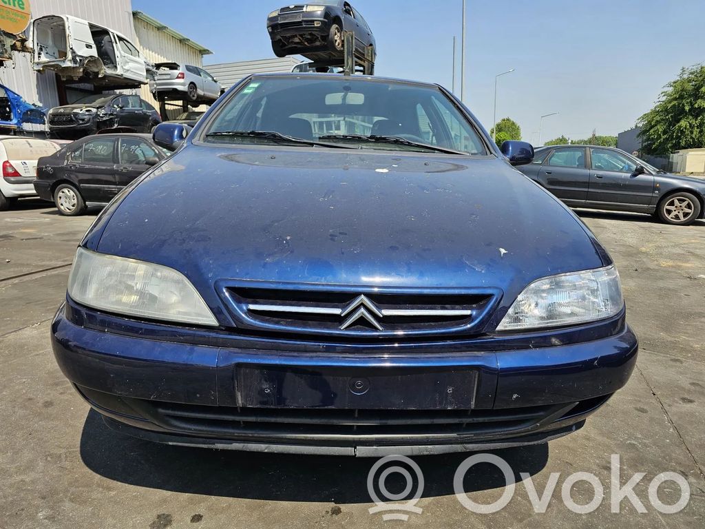 Xsara Xsara, Xsara Picasso