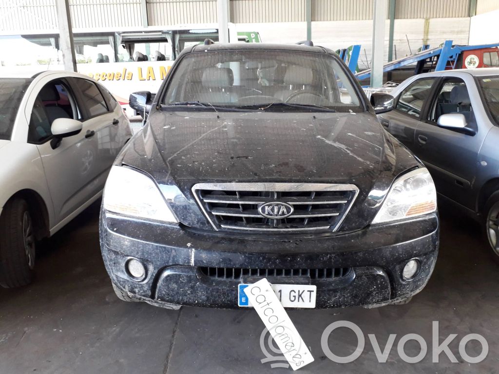 Sorento Sorento  663113E141