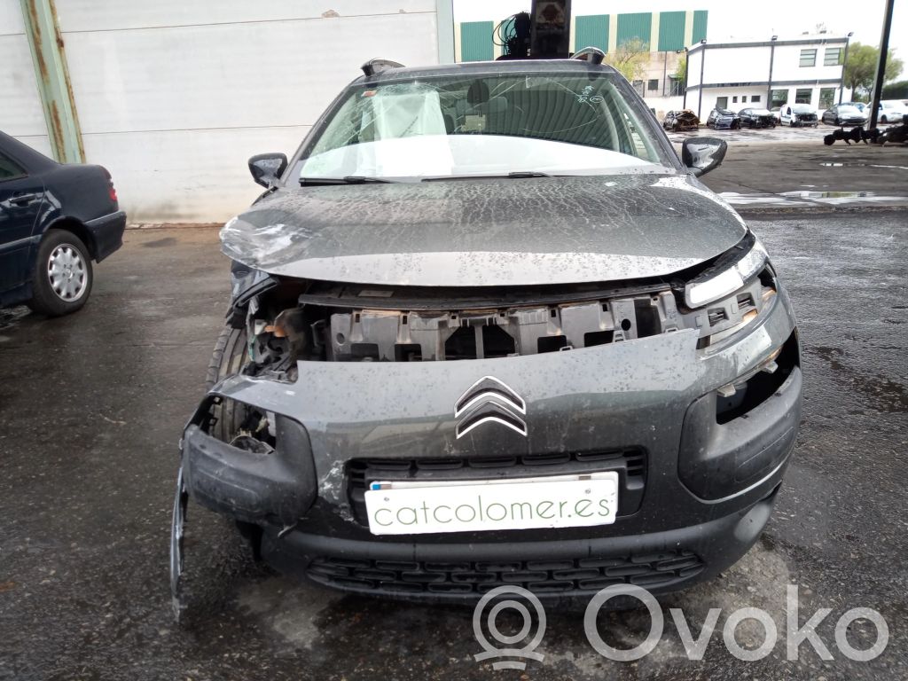 C4 Cactus C4 Picasso, Grand Picasso, Aircross, Cactus  9801219180