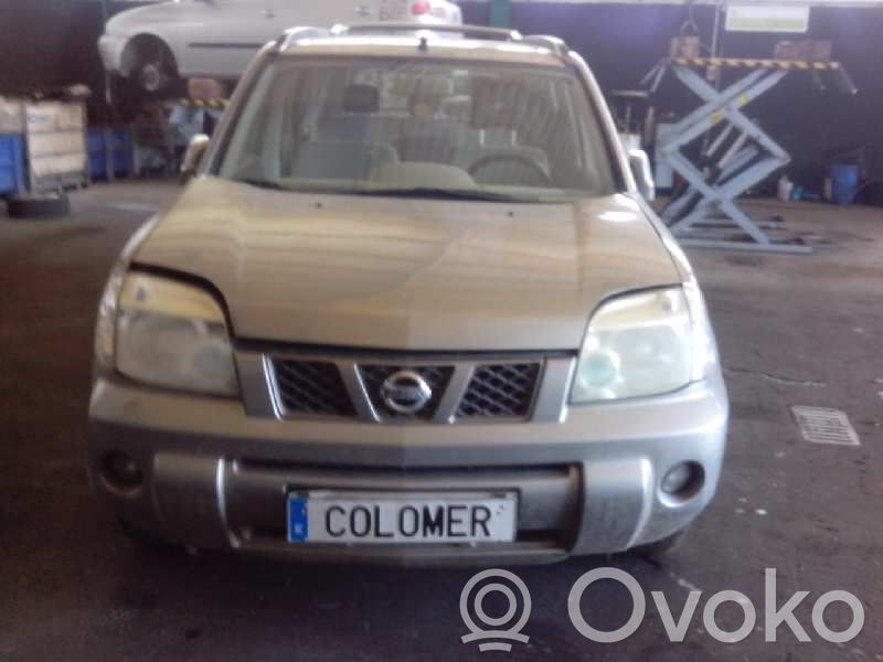 X-Trail T30 X-Trail  410018H30A