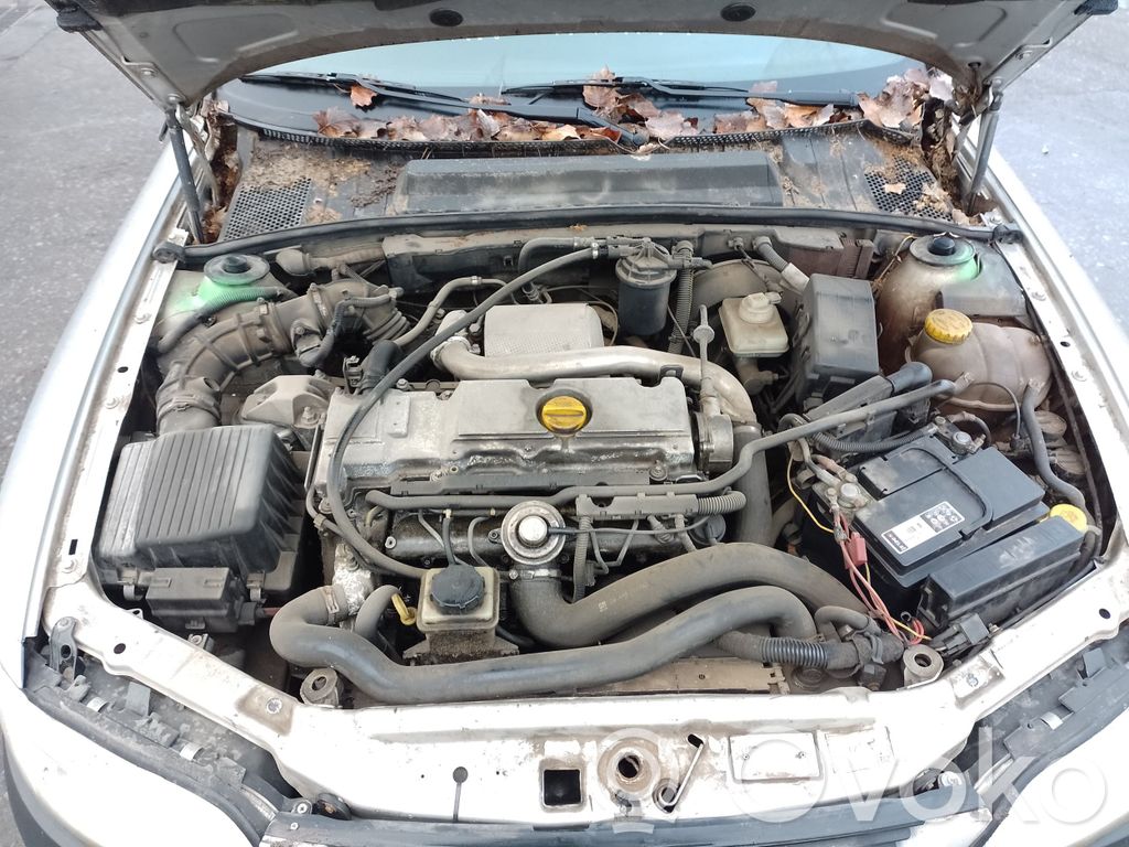 Vectra B Vectra  6204023
