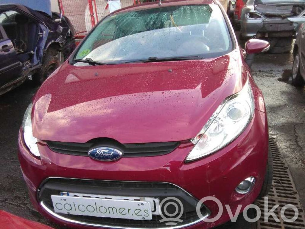 Fiesta Fiesta  1751664
