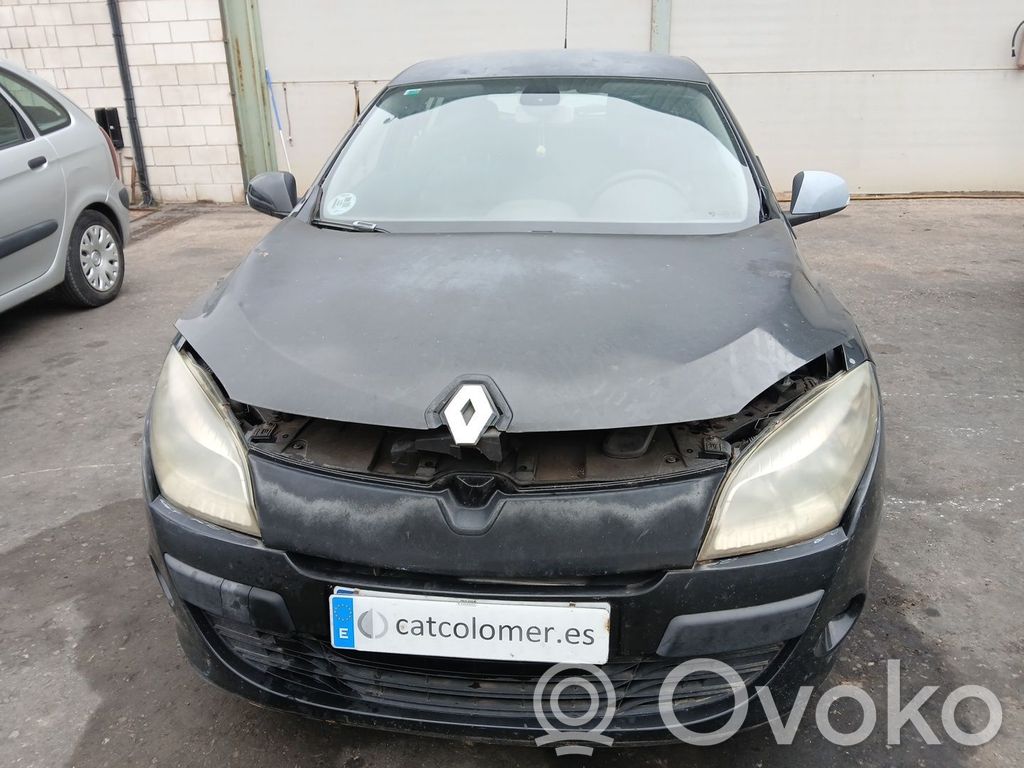 Megane III Megane  2968F2