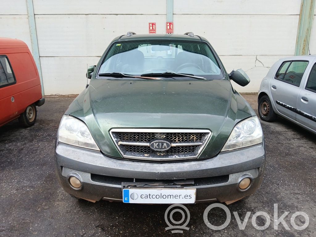 Sorento Sorento  865113E005XX